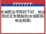 永城职业学院好不好，就业现状及发展趋势(永城职院就业前景)