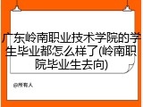 广东岭南职业技术学院的学生毕业都怎么样了(岭南职院毕业生去向)