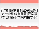 云南科技信息职业学院读什么专业比较有前景(云南科技信息职业学院前景专业)