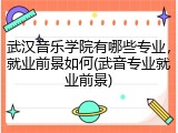 武汉音乐学院有哪些专业，就业前景如何(武音专业就业前景)