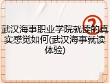 武汉海事职业学院就读的真实感觉如何(武汉海事就读体验)