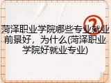 菏泽职业学院哪些专业就业前景好，为什么(菏泽职业学院好就业专业)