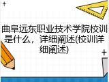 曲阜远东职业技术学院校训是什么，详细阐述(校训详细阐述)