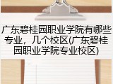 广东碧桂园职业学院有哪些专业，几个校区(广东碧桂园职业学院专业校区)