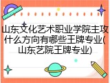 山东文化艺术职业学院主攻什么方向有哪些王牌专业(山东艺院王牌专业)