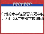 广州美术学院是否有双学位，为什么(广美双学位原因)