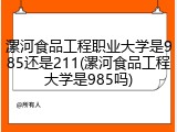 漯河食品工程职业大学是985还是211(漯河食品工程大学是985吗)