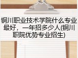 铜川职业技术学院什么专业最好，一年招多少人(铜川职院优势专业招生)