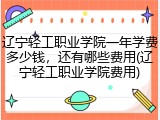 辽宁轻工职业学院一年学费多少钱，还有哪些费用(辽宁轻工职业学院费用)