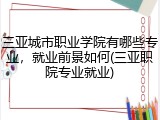 三亚城市职业学院有哪些专业，就业前景如何(三亚职院专业就业)