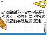 武汉船舶职业技术学院是什么级别，公办还是民办(武汉船舶学院性质级别)