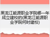 黑龙江能源职业学院哪一年成立建校的(黑龙江能源职业学院何时建校)