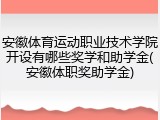 安徽体育运动职业技术学院开设有哪些奖学和助学金(安徽体职奖助学金)