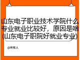 山东电子职业技术学院什么专业就业比较好，原因是啥(山东电子职院好就业专业)