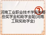 河南工业职业技术学院有哪些奖学金和助学金呢(河南工院奖助学金)
