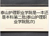 泰山护理职业学院是一本还是本科第二批(泰山护理职业学院批次)