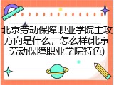 北京劳动保障职业学院主攻方向是什么，怎么样(北京劳动保障职业学院特色)