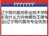 辽宁现代服务职业技术学院主攻什么方向有哪些王牌专业(辽宁现代服务专业优势)