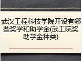 武汉工程科技学院开设有哪些奖学和助学金(武工院奖助学金种类)