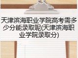 天津滨海职业学院高考需多少分能录取呢(天津滨海职业学院录取分)