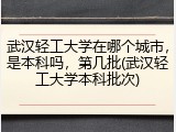 武汉轻工大学在哪个城市，是本科吗，第几批(武汉轻工大学本科批次)