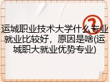 运城职业技术大学什么专业就业比较好，原因是啥(运城职大就业优势专业)