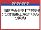 上海欧华职业技术学院要多少分才能进(上海欧华录取分数线)