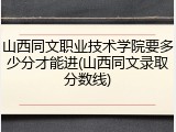 山西同文职业技术学院要多少分才能进(山西同文录取分数线)