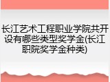 长江艺术工程职业学院共开设有哪些类型奖学金(长江职院奖学金种类)