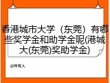 香港城市大学（东莞）有哪些奖学金和助学金呢(港城大(东莞)奖助学金)