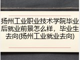 扬州工业职业技术学院毕业后就业前景怎么样，毕业生去向(扬州工业就业去向)