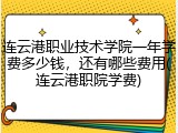 连云港职业技术学院一年学费多少钱，还有哪些费用(连云港职院学费)