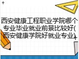 西安健康工程职业学院哪个专业毕业就业前景比较好(西安健康学院好就业专业)