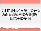 汉中职业技术学院主攻什么方向有哪些王牌专业(汉中职院王牌专业)