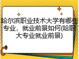 哈尔滨职业技术大学有哪些专业，就业前景如何(哈职大专业就业前景)