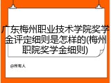 广东梅州职业技术学院奖学金评定细则是怎样的(梅州职院奖学金细则)
