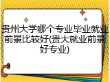 贵州大学哪个专业毕业就业前景比较好(贵大就业前景好专业)