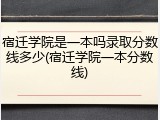 宿迁学院是一本吗录取分数线多少(宿迁学院一本分数线)