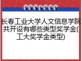 长春工业大学人文信息学院共开设有哪些类型奖学金(工大奖学金类型)