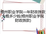 梧州职业学院一年财政拨款大概多少钱(梧州职业学院财政拨款)
