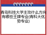 青岛科技大学主攻什么方向有哪些王牌专业(青科大优势专业)
