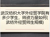 武汉纺织大学外经贸学院有多少学生，师资力量如何(武纺外经贸师生规模)