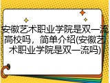 安徽艺术职业学院是双一流高校吗，简单介绍(安徽艺术职业学院是双一流吗)