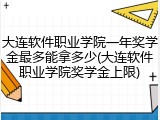 大连软件职业学院一年奖学金最多能拿多少(大连软件职业学院奖学金上限)