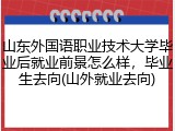 山东外国语职业技术大学毕业后就业前景怎么样，毕业生去向(山外就业去向)