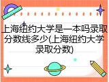 上海纽约大学是一本吗录取分数线多少(上海纽约大学录取分数)