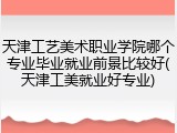 天津工艺美术职业学院哪个专业毕业就业前景比较好(天津工美就业好专业)