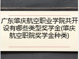 广东肇庆航空职业学院共开设有哪些类型奖学金(肇庆航空职院奖学金种类)