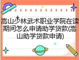嵩山少林武术职业学院在读期间怎么申请助学贷款(嵩山助学贷款申请)