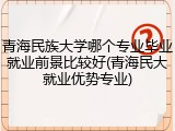 青海民族大学哪个专业毕业就业前景比较好(青海民大就业优势专业)